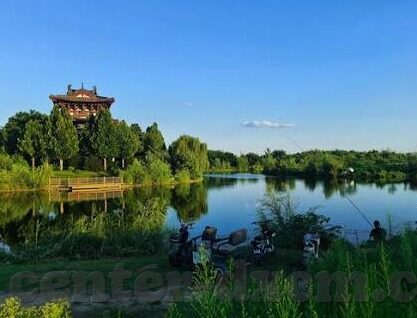 麻豆视频完整免费观看-走进多彩视听世界 —— 麻豆视频的免费畅享之旅